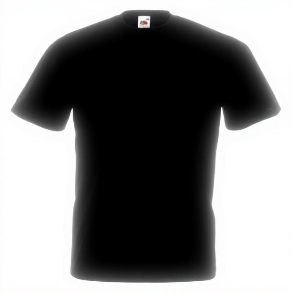 T-shirt homme Fruit of the Loom 100 coton lourd confortable