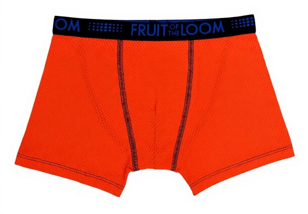 Boxers Garçon Fruit of the Loom Lot de 5 Micro Maille