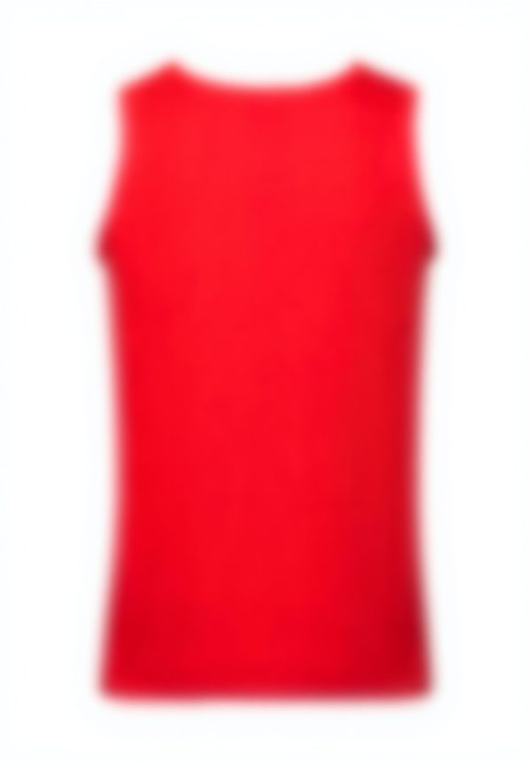 Débardeur Fruit Of The Loom Homme Lot 3 Couleurs Tailles