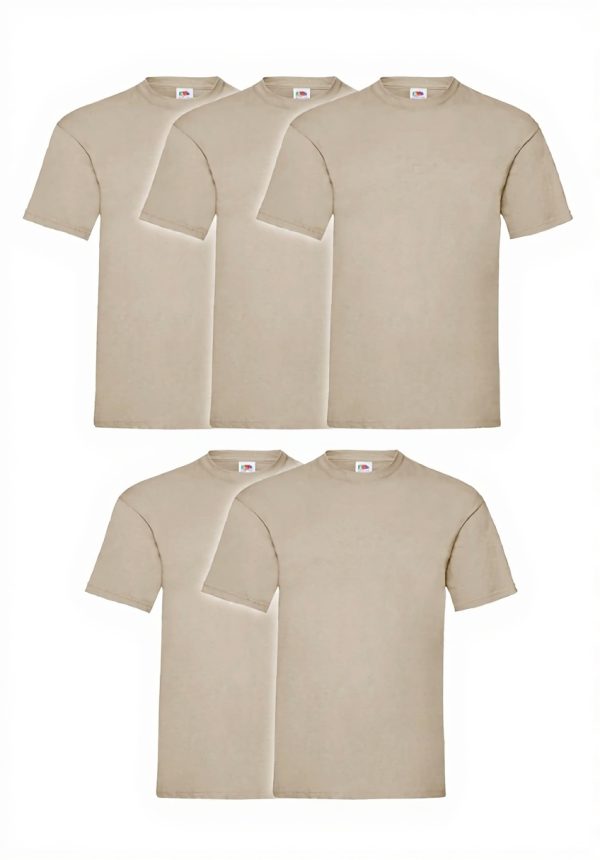 Fruit of the Loom 5 Pack Mens Cotton T-Shirts Bundle