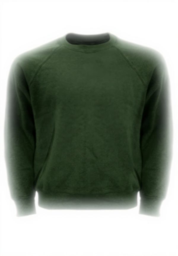 Sweatshirt Homme Fruit of the Loom Raglan Coton Polyester