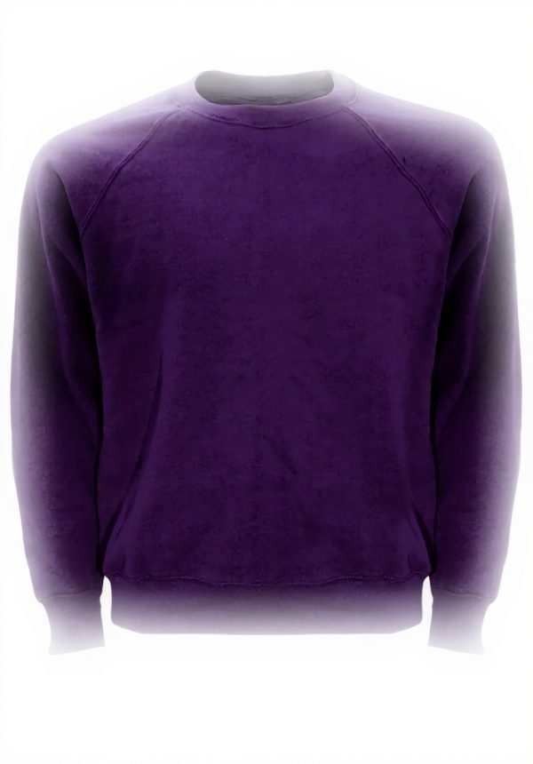 Sweatshirt Homme Fruit of the Loom Raglan Coton Polyester