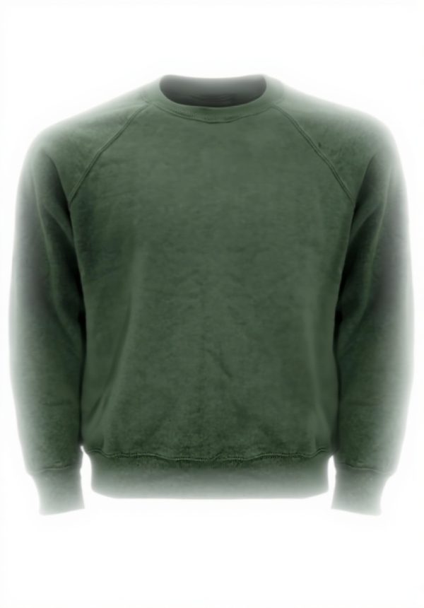 Sweatshirt Homme Fruit of the Loom Raglan Coton Polyester