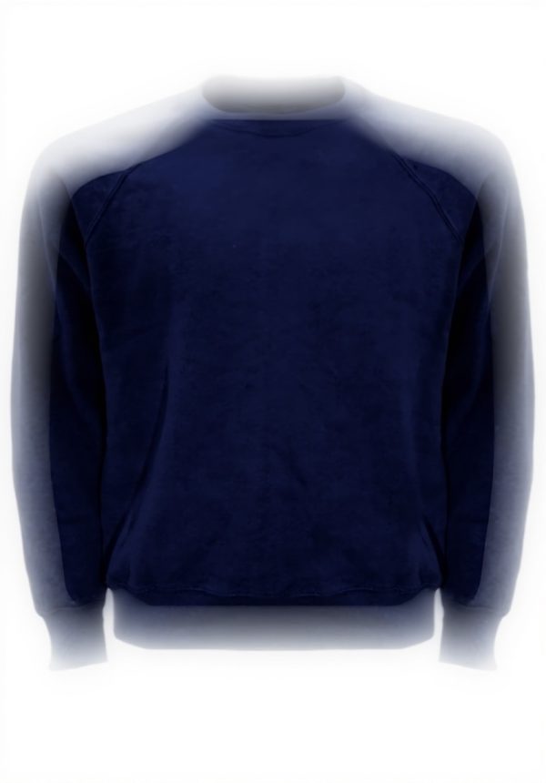 Sweatshirt Homme Fruit of the Loom Raglan Coton Polyester