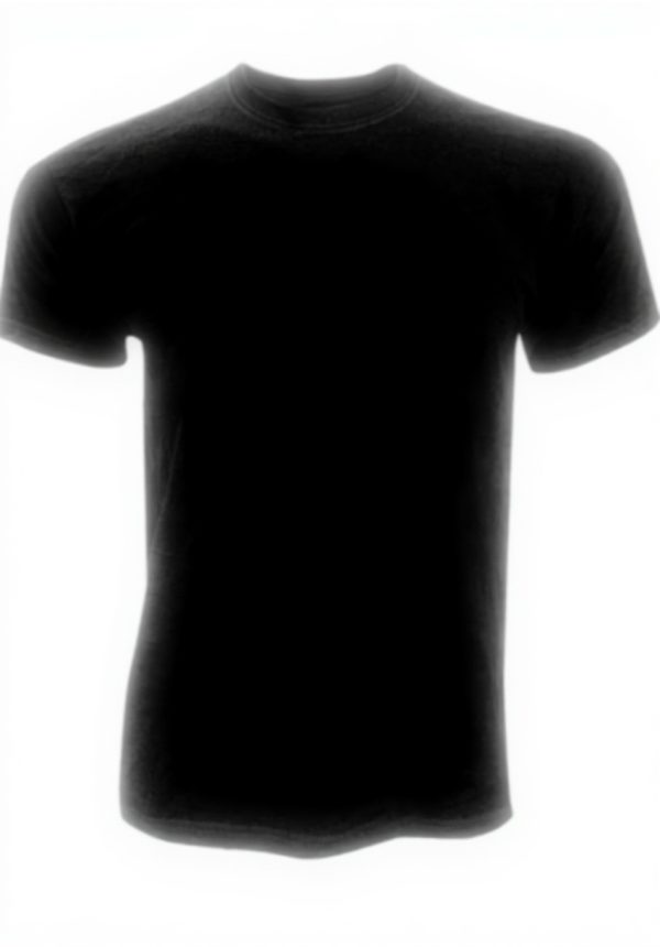 T-shirt homme Fruit of the Loom manches courtes bleu ciel