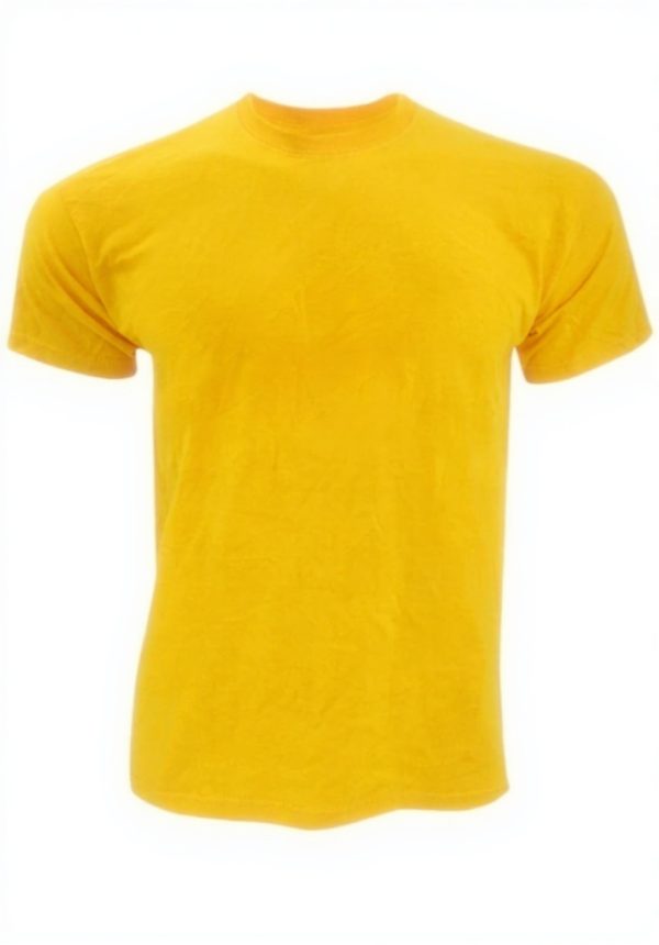 T-shirt homme Fruit of the Loom manches courtes bleu ciel