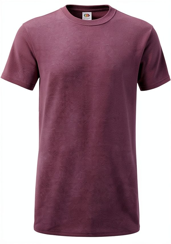 Fruit of the Loom T-shirt Homme Coton Lot 5 Couleurs Chiné
