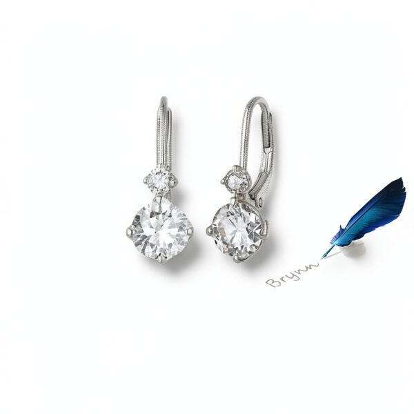 Boucles d'oreilles Moissanite S925 Platine Cadeau Élégant-4