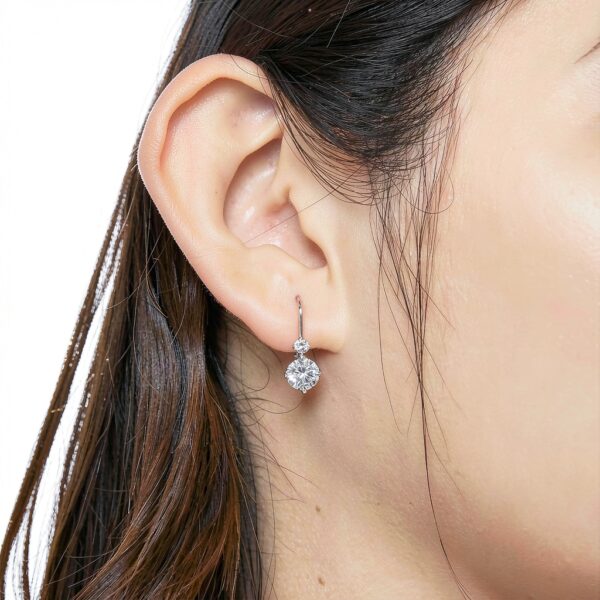 Boucles d'oreilles Moissanite S925 Platine Cadeau Élégant-2