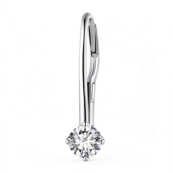 Boucles d'oreilles Moissanite S925 Platine Cadeau Élégant-3