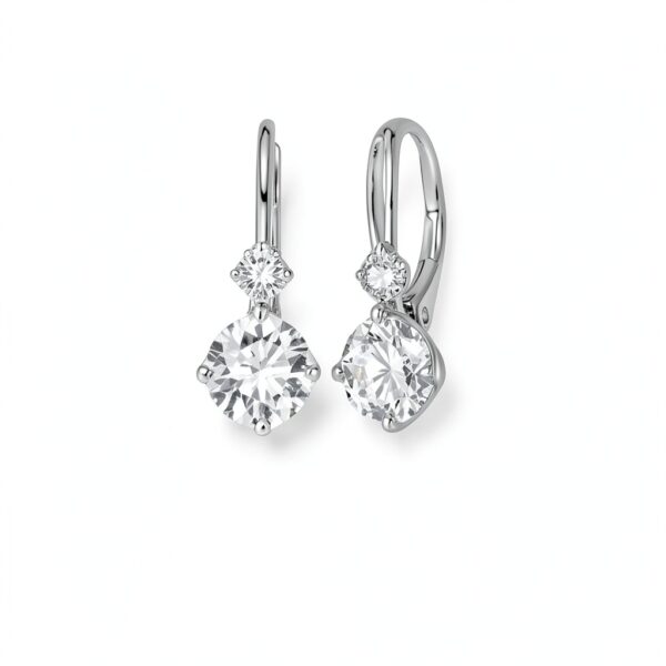 Boucles d'oreilles Moissanite S925 Platine Cadeau Élégant-5