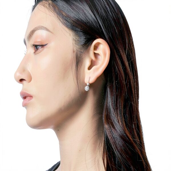 Boucles d'oreilles Moissanite S925 Platine-2