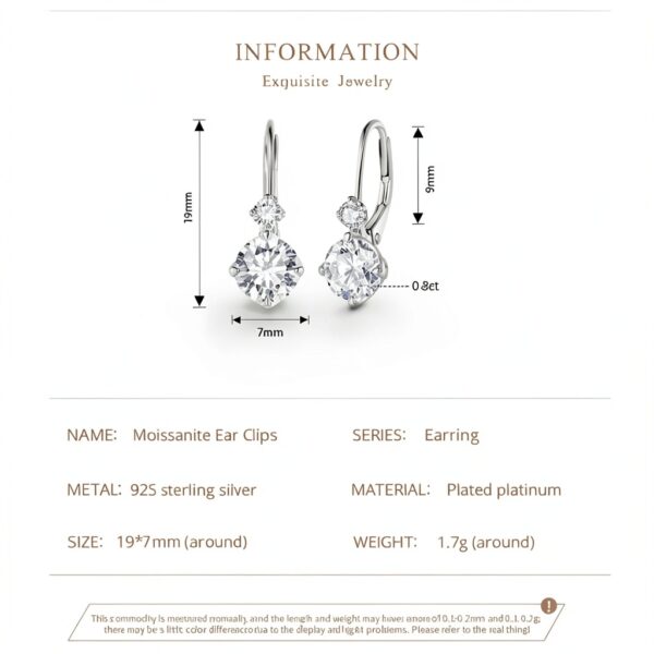 Boucles d'oreilles Moissanite S925 Platine plaqué-5