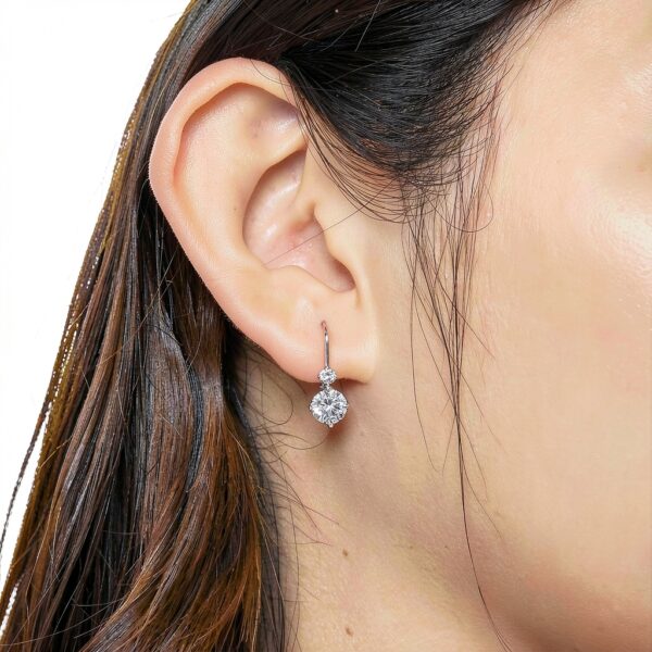 Boucles d'oreilles Moissanite S925 Platine plaqué-1
