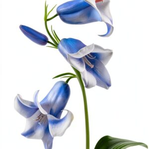 Artery8 Bluebell Wildflower Blue Floral Unframed 30x41 cm-0
