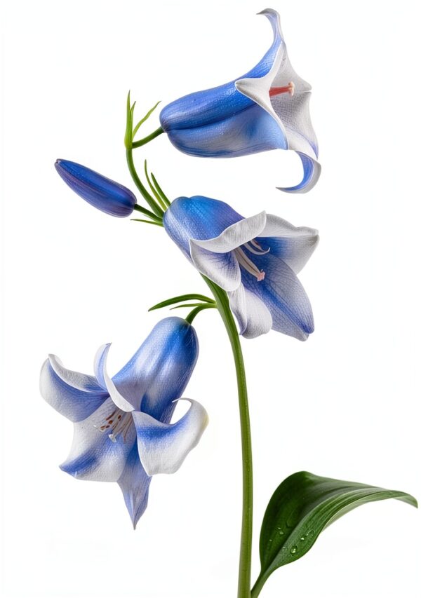 Artery8 Bluebell Wildflower Blue Floral Unframed 30x41 cm-0